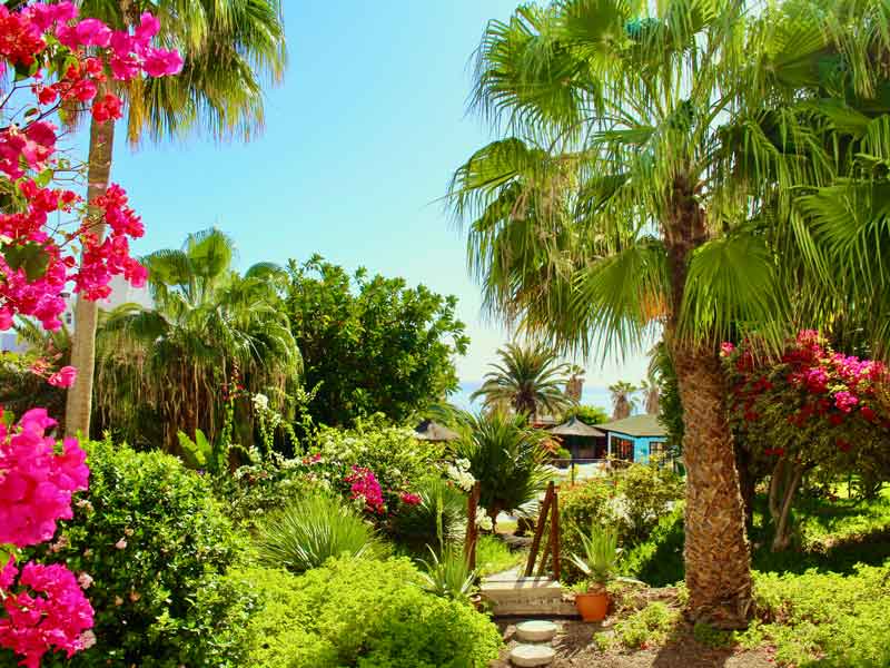 4-garden-plus-monte-marina-naturist-resort-fuerteventura